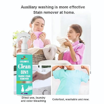 Stain Remover Pro 400 ml Pack of 2